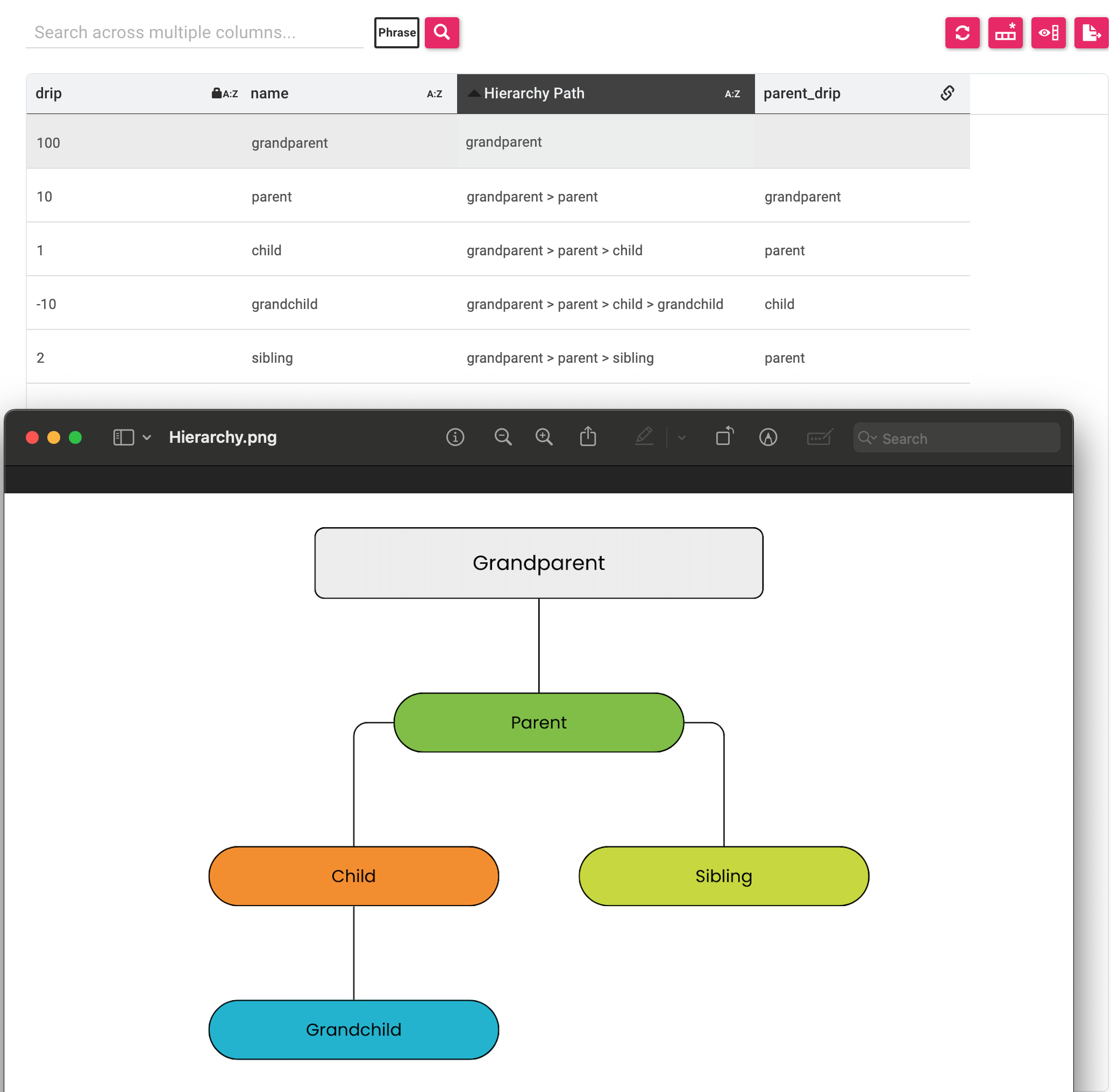 A depiction of the Hierarchy Collection Records