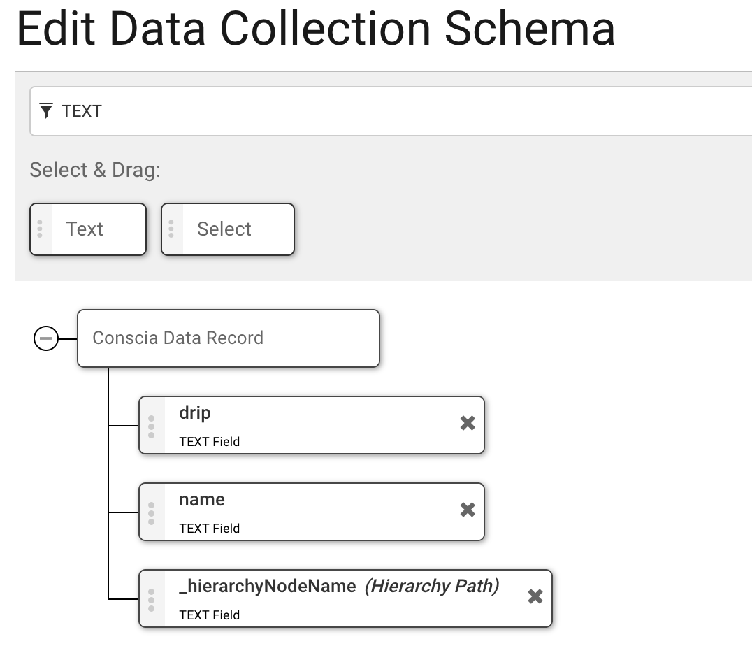 A screenshot of the Schema Editor showing the Hierarchy Schema